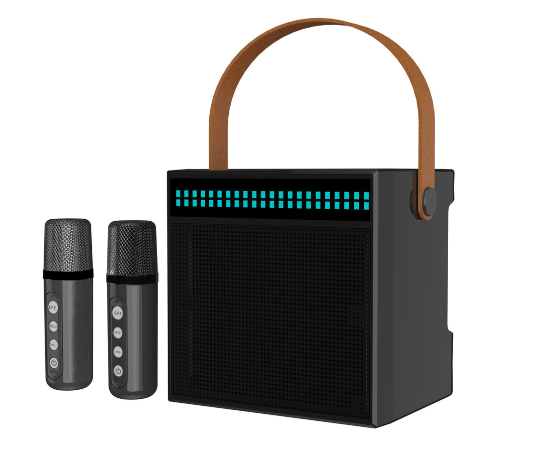 Tragbares Karaoke-System mit Dual-Mikrofonen Karnz