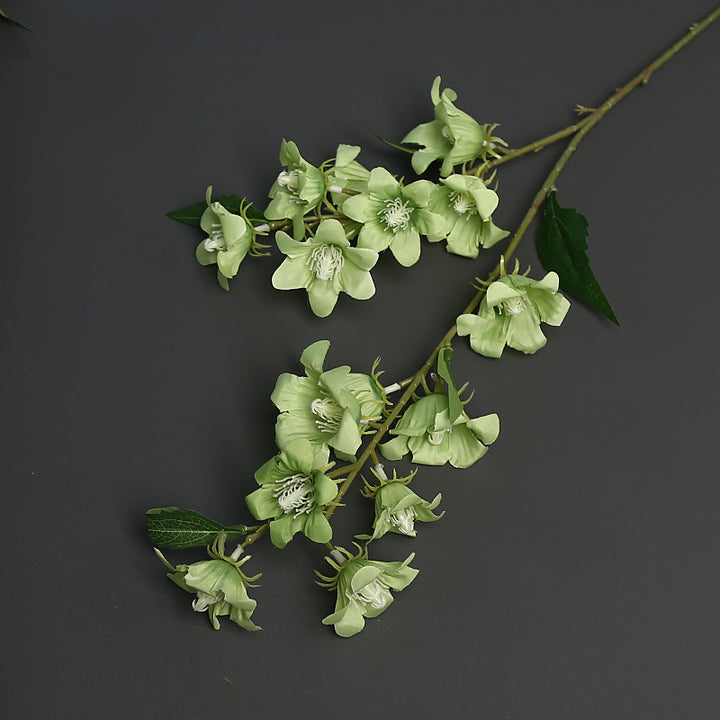 Florale Akzentstängel für die Wohnkultur-Darstellung