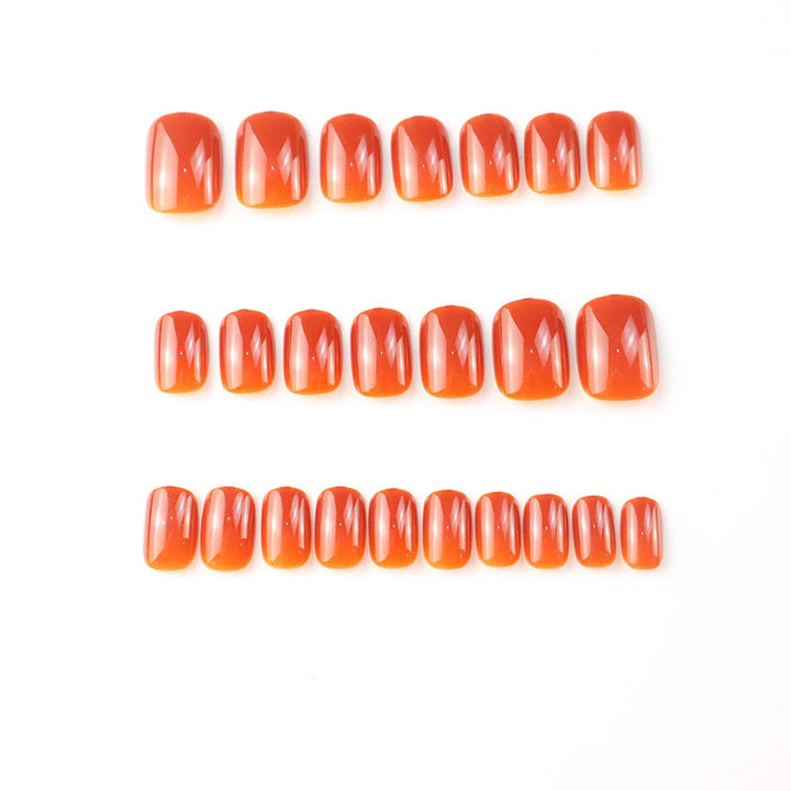 Glänzendes langes Nagelset Karnz