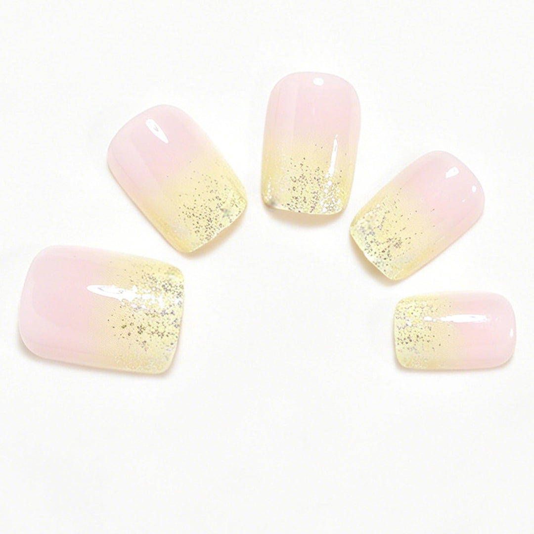 Elegante Ombre Druck-Nagelset Karnz