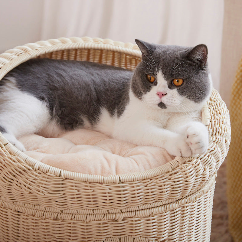Katzenbett Karnz