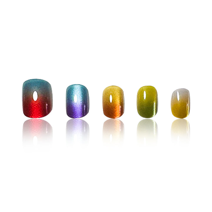 Iridescente Nagelkunstverlängerungen Karnz