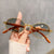 Damen Vintage-Style Sonnenbrille mit Holz-Innengestell Karnz