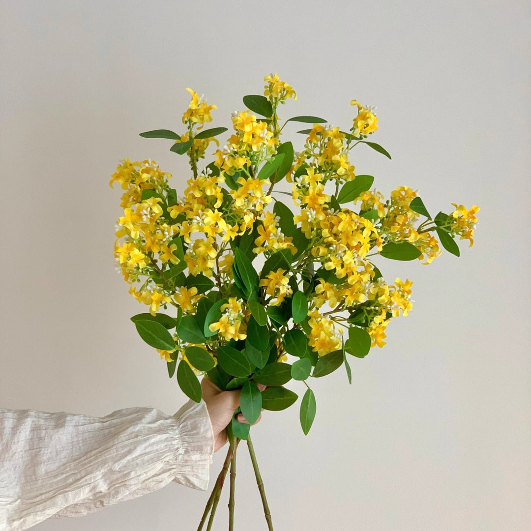 Dekorative Botanische Stängelanordnung