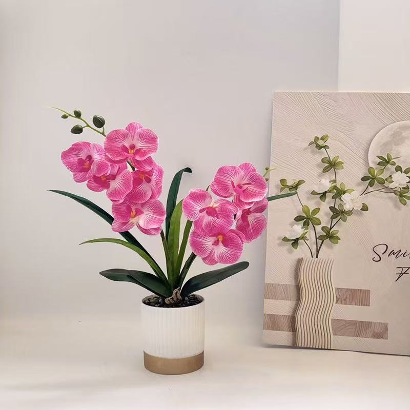 Orchideen-Blumen-Topfarrangement