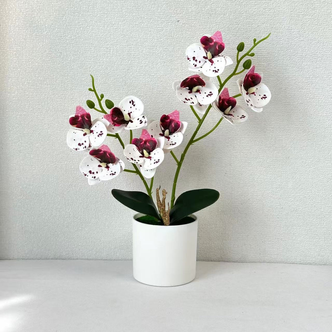 Künstliches Orchideenblumenarrangement 1790480814 für Wohnkultur und Ausstellung