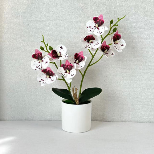 Künstliches Orchideenblumenarrangement 1790480814 für Wohnkultur und Ausstellung