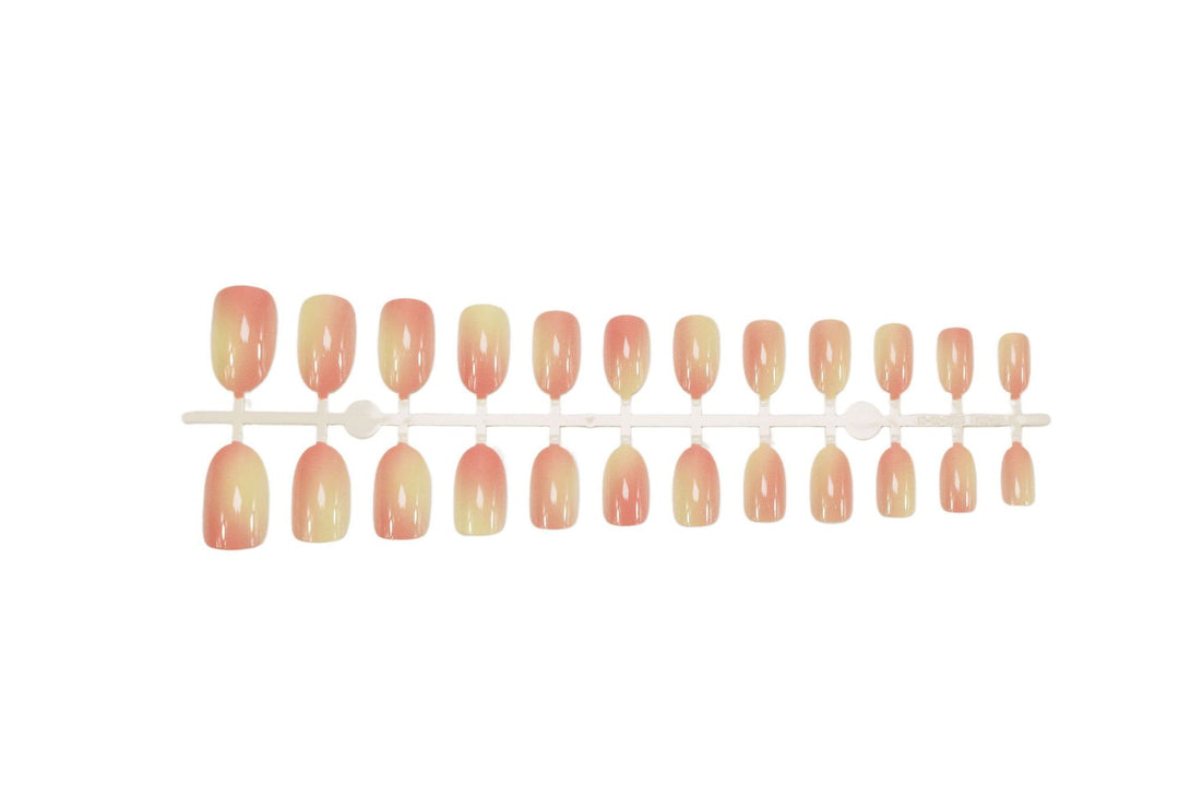 Kunstnagelset mit elegantem, natürlichen Ombre-Design Karnz