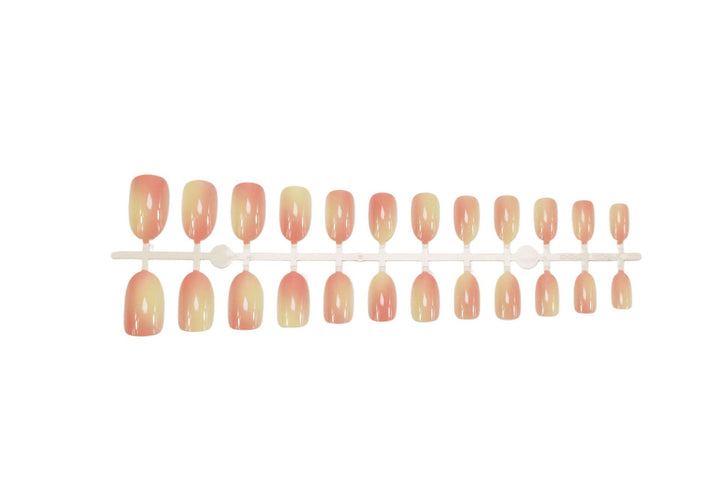 Kunstnagelset mit elegantem, natürlichen Ombre-Design Karnz