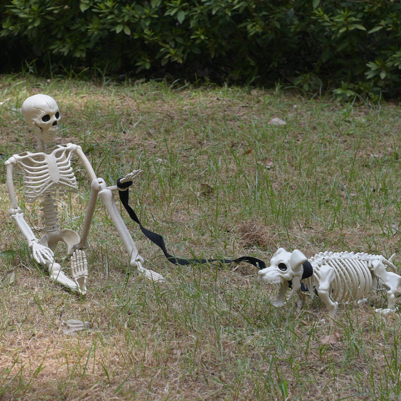 Skelett Hund Spaziergang Dekoration Karnz