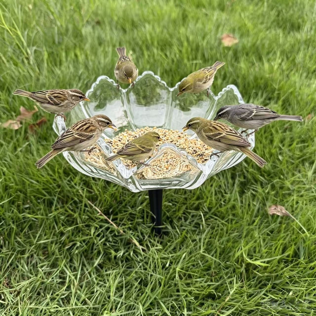 Elegante Vogel-Fütterungsstation Karnz