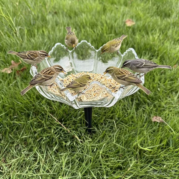 Elegante Vogel-Fütterungsstation Karnz