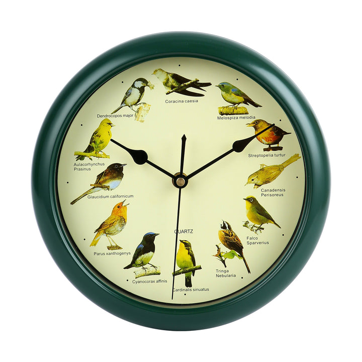 Wanduhr mit buntem Vogeldesign Karnz