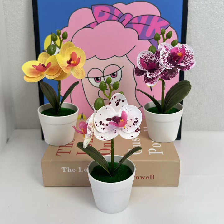 Künstliche Orchideenpflanze für dekorative Wohnanzeige und Styling