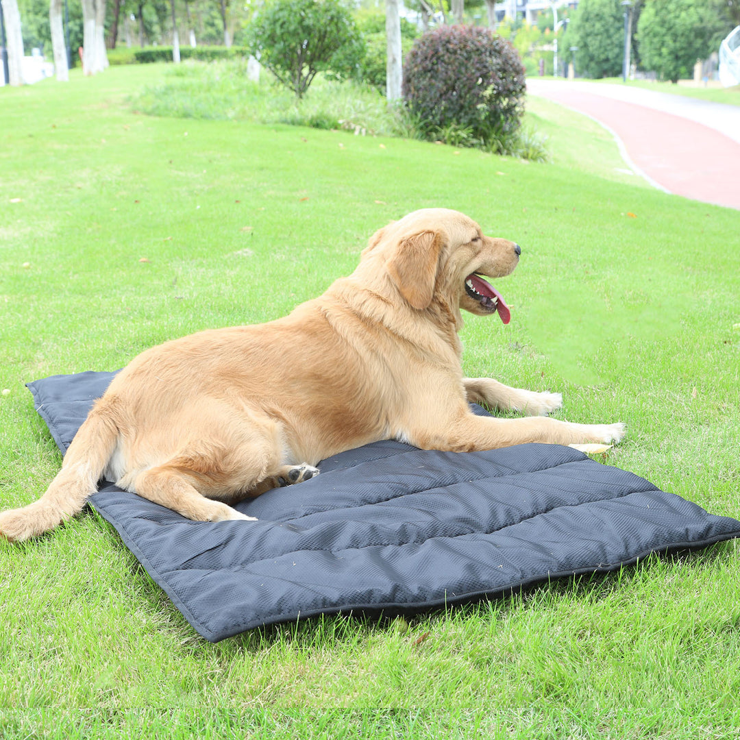 Kühlmatte   Hundebett