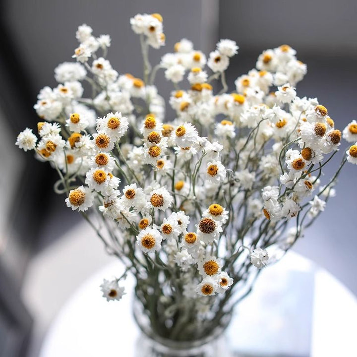 Getrockenes Blumenstrauß Arrangement