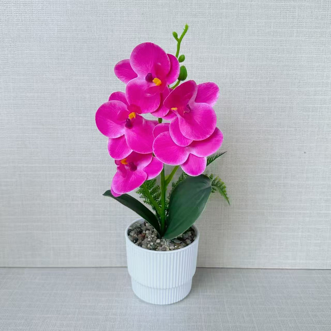 Exotische Orchideenpflanzenanordnung