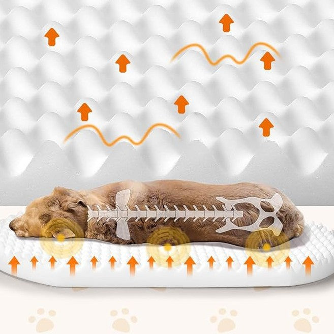 Hundebett