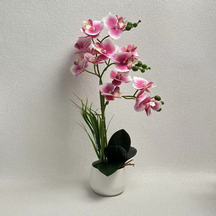 Exquisite Künstlicher Orchideen Ausstellung