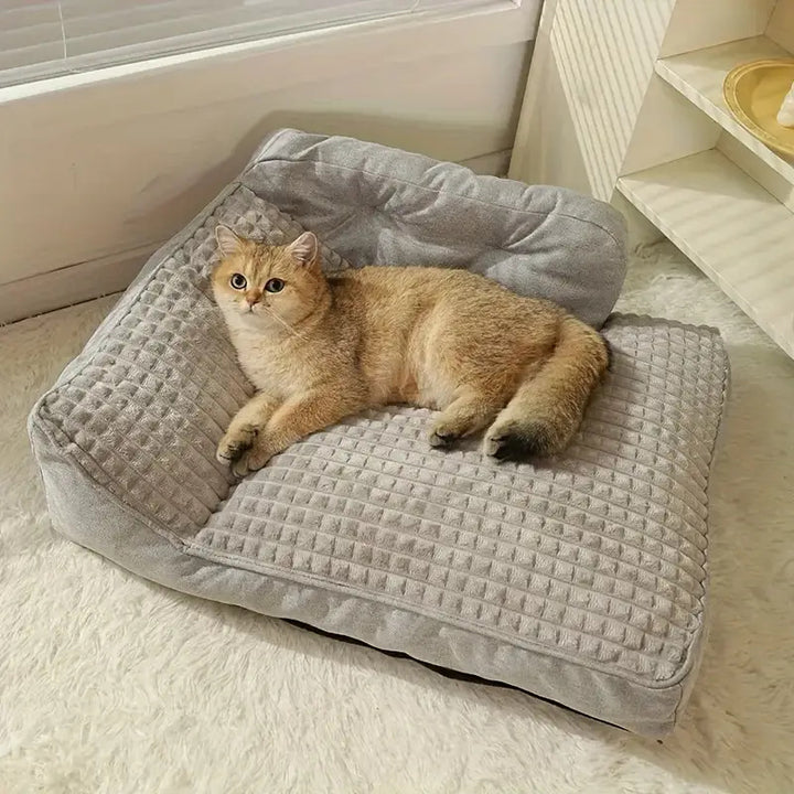 Erhöhtes Orthopädisches Lounge-Hunde Bett