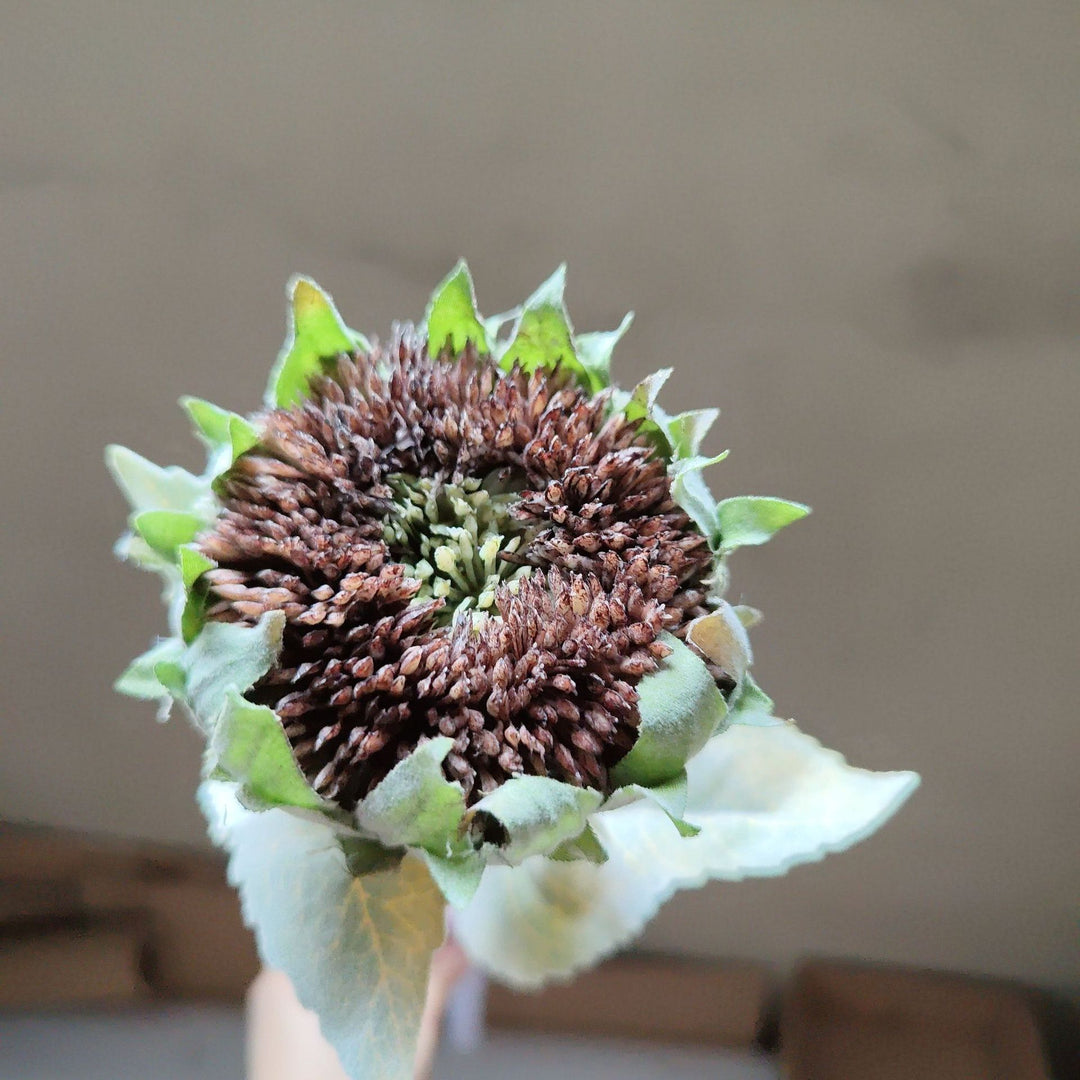 Getrockener Sonnenblumenstängel