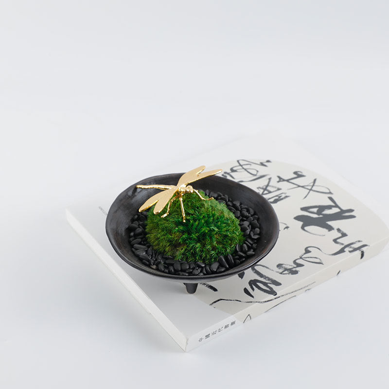 Dekorative Botanische Anzeige