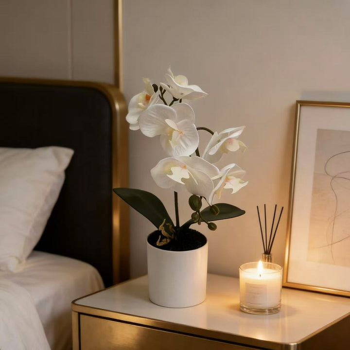Lifelike Phalaenopsis-Orchideenpflanzenanordnung