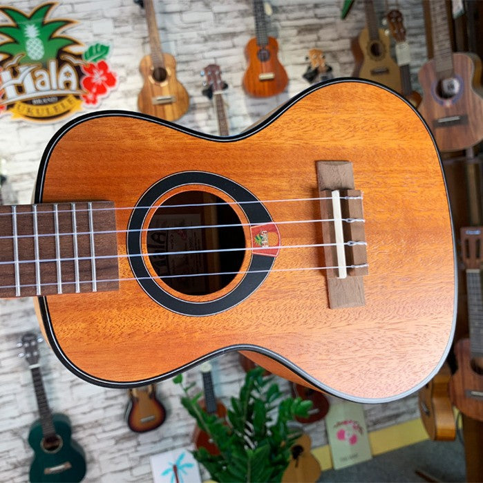 21-Zoll Reise Ukulele Karnz