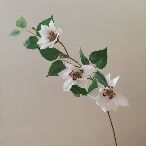 Realistische Magnolienzweig