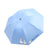 Damen Regenschirm Karnz