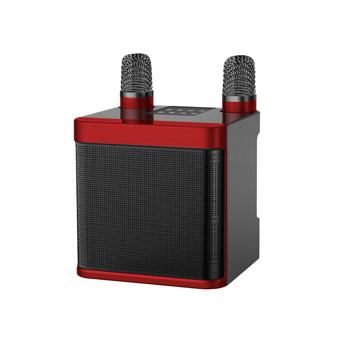 Kabelloses Karaoke-Lautsprechersystem mit zwei Mikrofonen Karnz