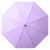 Unisex Regenschirm mit innovativem Faltmechanismus Karnz