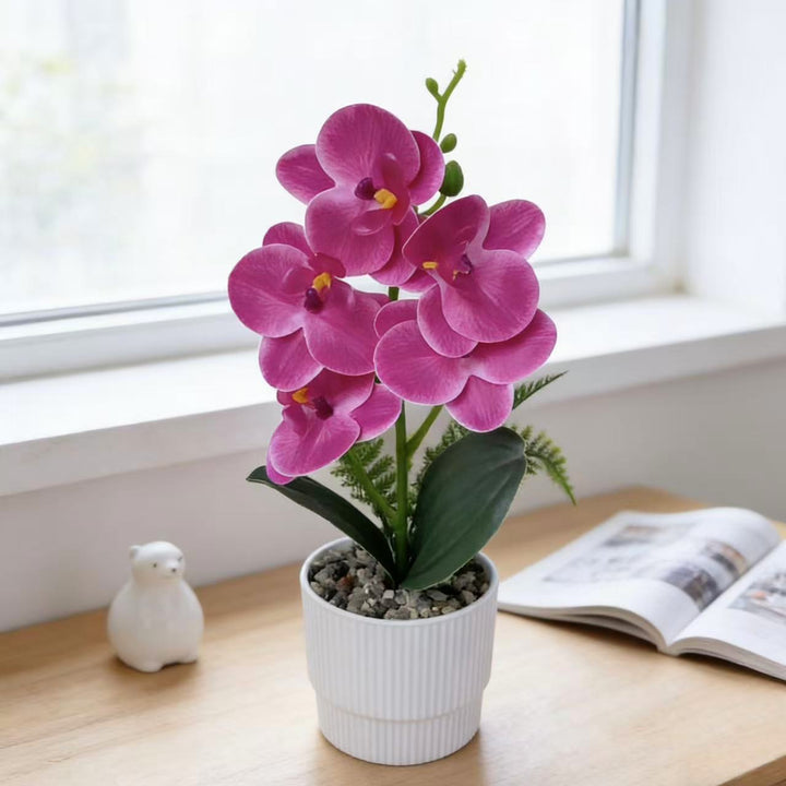 Exotische Orchideenpflanzenanordnung