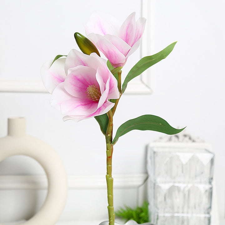 Elegantes Magnolien-Blumenarrangement für die Wohnkultur