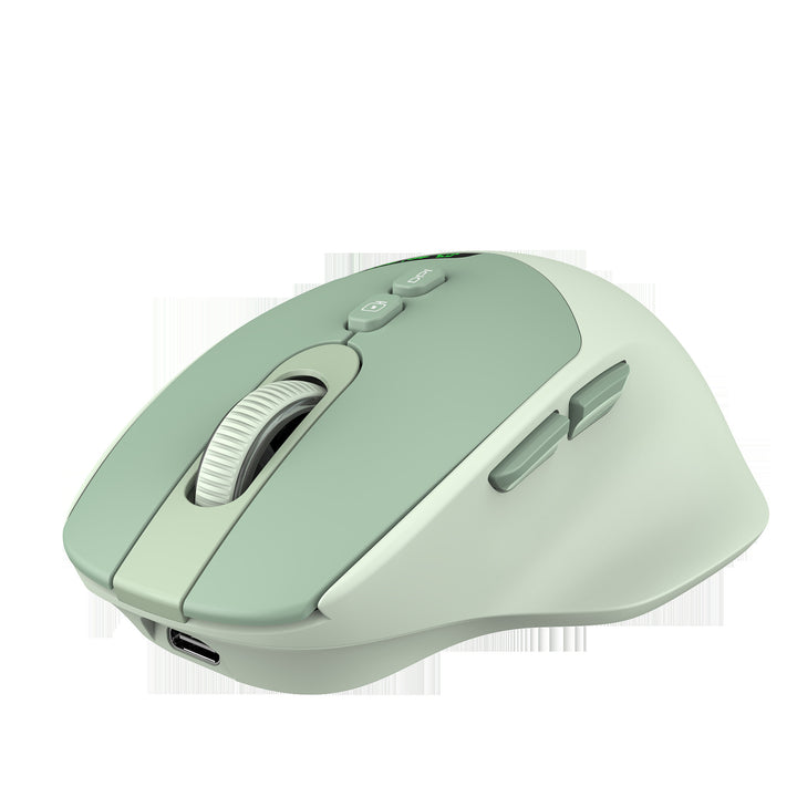 Ergonomische Funkmaus Karnz