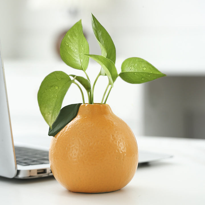 Verspielte Keramische Obst-förmige Vase Karnz