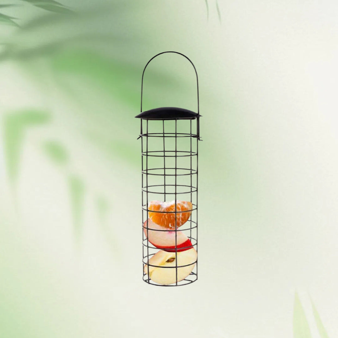 Transparenter Vogelhaus Karnz
