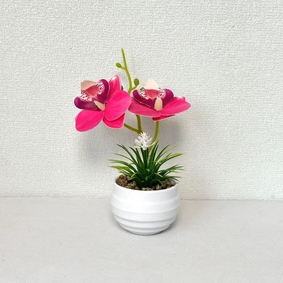 Dekorative Miniaturorchideen-Tischdekoration