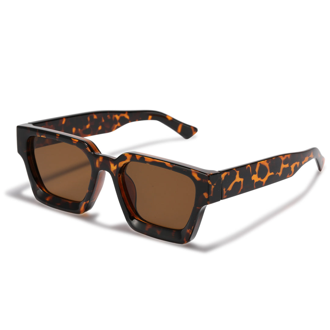 Damen modische Sonnenbrille mit klarem Rahmen und Verlaufsgläsern Karnz