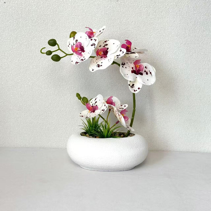 Lebensechte Orchideenpflanzenanordnung für die Heimdekoration
