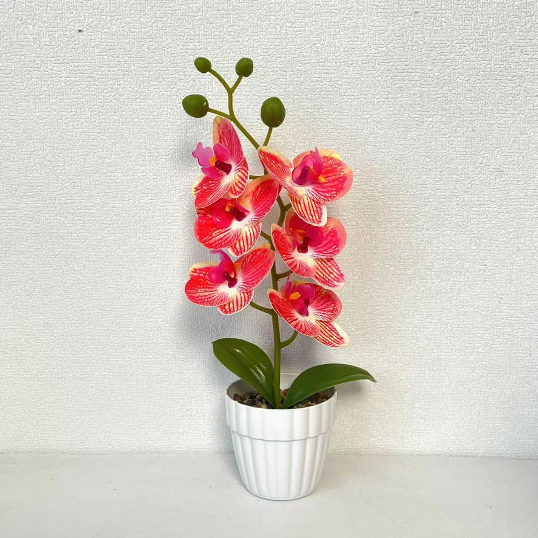 Lebensechte Künstliche Orchideenarrangement für die Wohnkultur
