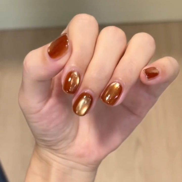 Kunstnägel mit Elegantem Glanz Karnz