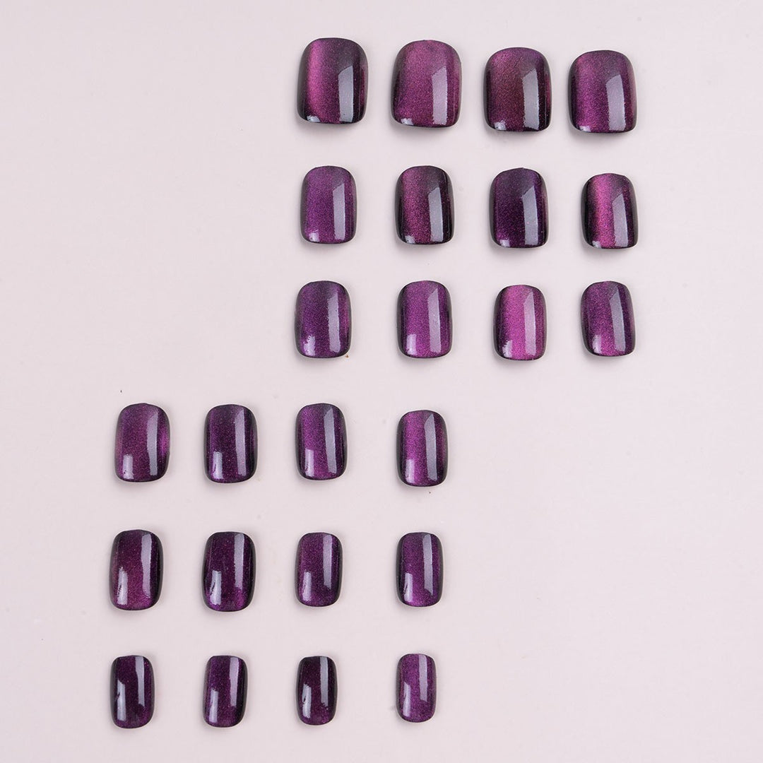 Ombré Nagelkunst Set