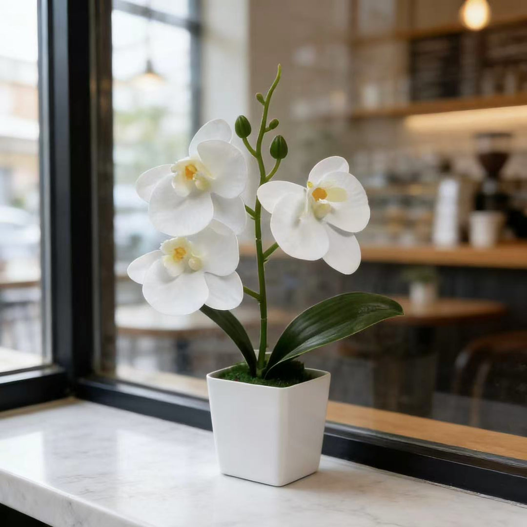 Dekorative künstliche Orchideenpflanze für die Wohnkultur展示