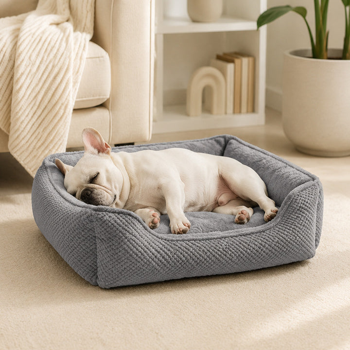 Weiches Plüsch Lounge Hundebett