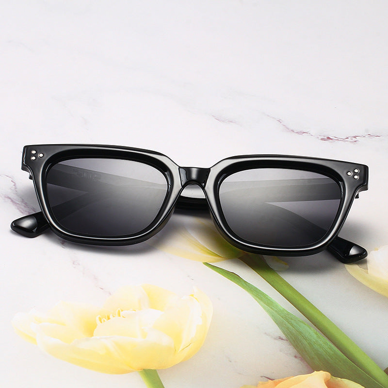Modische Acryl-Sonnenbrille Im Modernen Design Karnz