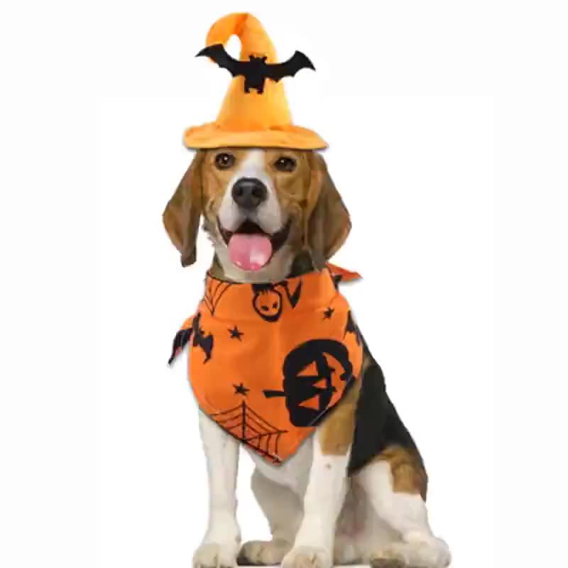 Halloween Hundeschal mit Hut