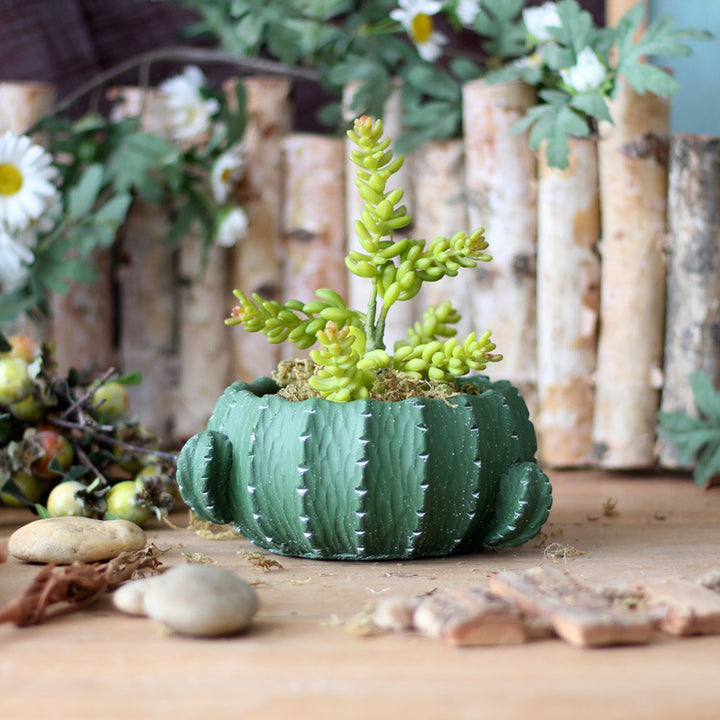 Dekorativer Blumentopf im Kaktus-Design Karnz