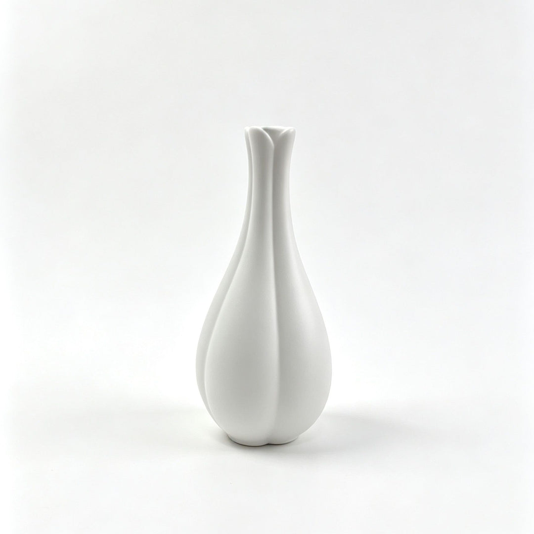 Moderne Minimalistische Dekorative Blumenvase Karnz