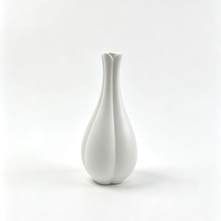 Moderne Minimalistische Dekorative Blumenvase Karnz